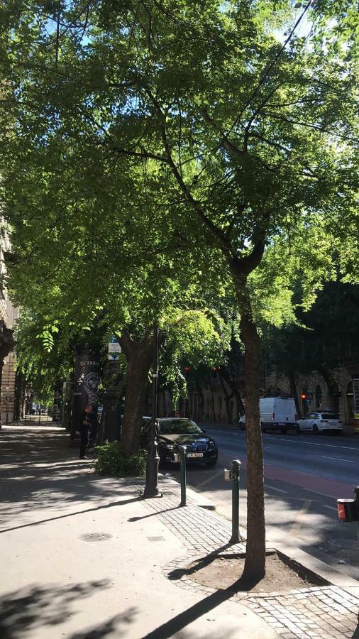 Diamond Apartman Near To Basilica ブダペスト エクステリア 写真